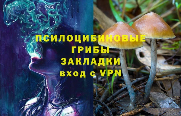 крисы Баксан