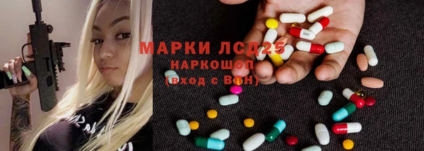 крисы Баксан
