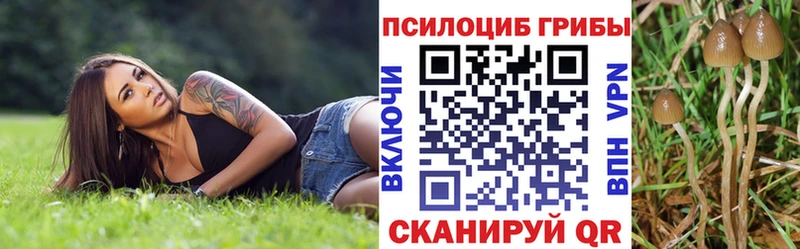 купить наркотик  МЕГА онион  Псилоцибиновые грибы GOLDEN TEACHER  Слюдянка 